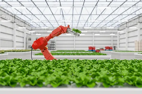 Robot in a greenhouse holding a plant