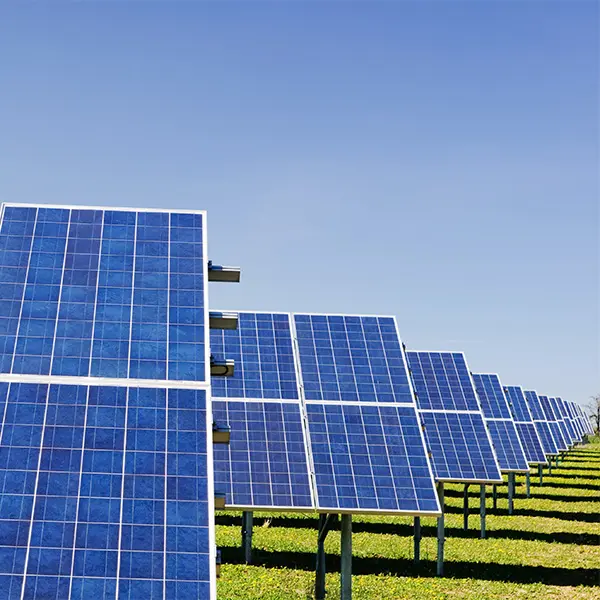 Rows of solar panels lined up in a green field with clear blue skies in the background